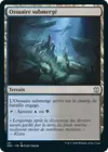 Product image for Ossuaire submergé