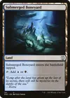 Product image for Submerged Boneyard