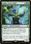 Product image for Waker of the Wilds
