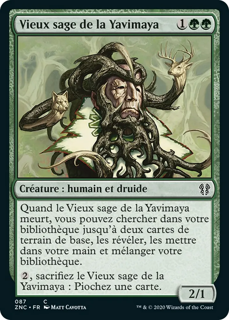 Vieux sage de la Yavimaya from Zendikar Rising Commander - Magic: The Gathering