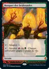 Product image for Bosquet des brûlesaules