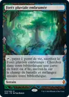 Product image for Forêt pluviale embrumée