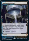 Product image for Bassin morphique