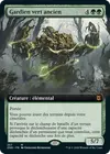 Product image for Gardien vert ancien