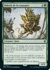 Product image for Baloth de la canopée