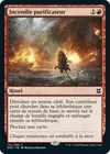 Product image for Incendie purificateur