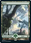 Product image for Forêt