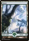 Product image for Forest