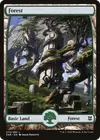 Product image for Forest