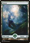 Product image for Forest