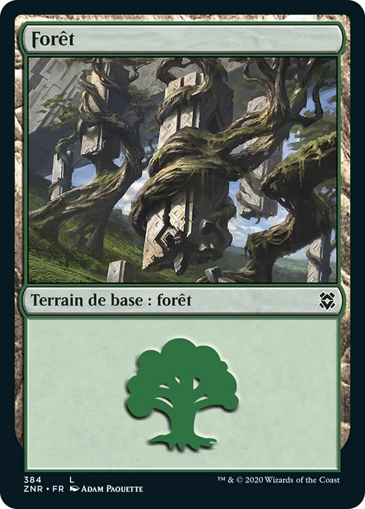 Forêt — Zendikar Rising — Magic: The Gathering