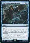 Product image for Cacophonie exaspérante