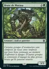 Product image for Brute de Murasa