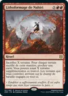 Product image for Lithoformage de Nahiri