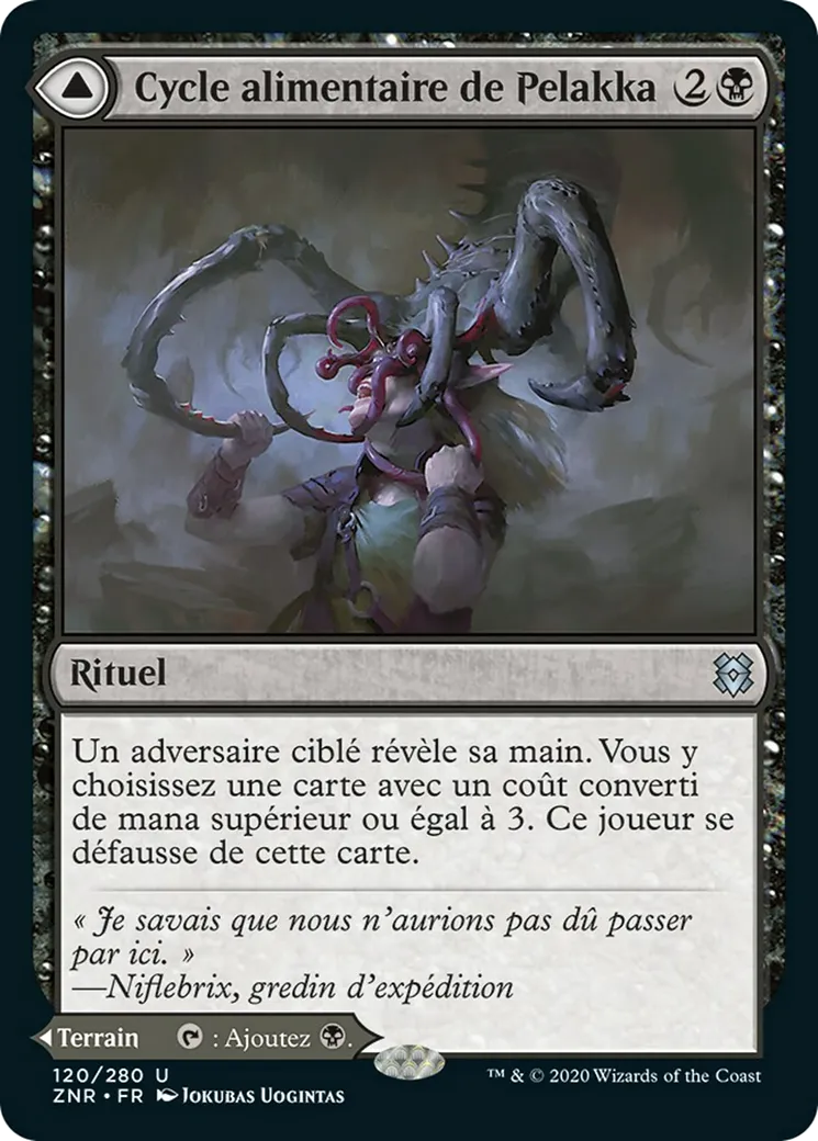 Cycle alimentaire de Pelakka // Cavernes de Pelakka — Zendikar Rising — Magic: The Gathering