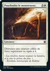 Product image for Pourfendre le monstrueux
