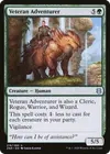 Product image for Veteran Adventurer