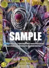 Product image for Charlotte Katakuri (123)