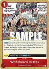 Product image for Whitebeard Pirates