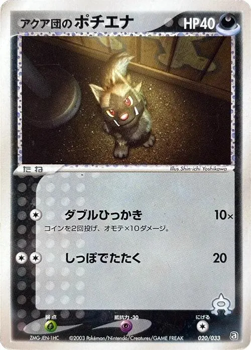 Team Aquas Poochyena — Aqua Deck Kit — Pokemon Japan