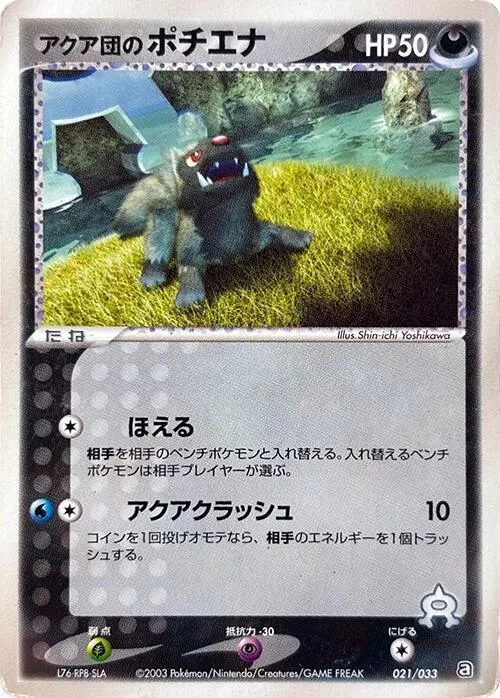 Team Aquas Poochyena from Aqua Deck Kit - Pokemon Japan