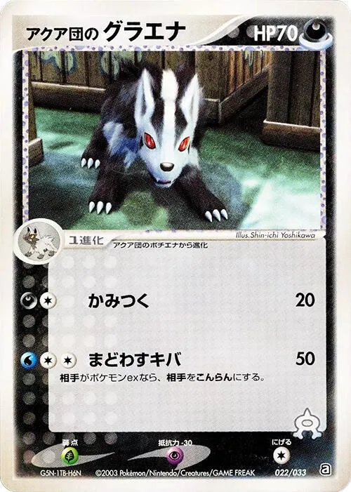 Team Aquas Mightyena — Aqua Deck Kit — Pokemon Japan
