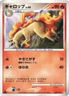 Product image for Rapidash
