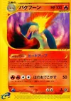 Product image for Typhlosion