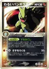 Product image for Dark Tyranitar