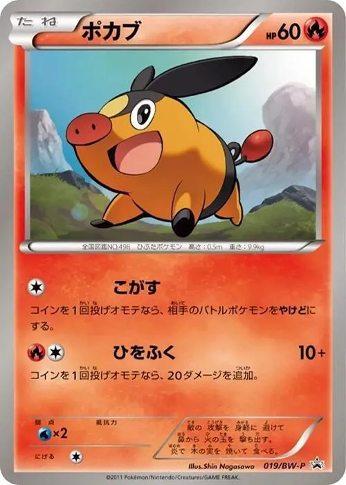 Tepig — BW-P Promotional cards — Pokemon Japan