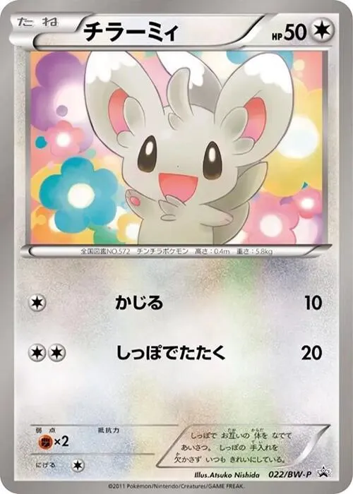 Minccino — BW-P Promotional cards — Pokemon Japan