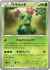 Product image for Maractus
