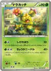Product image for Maractus