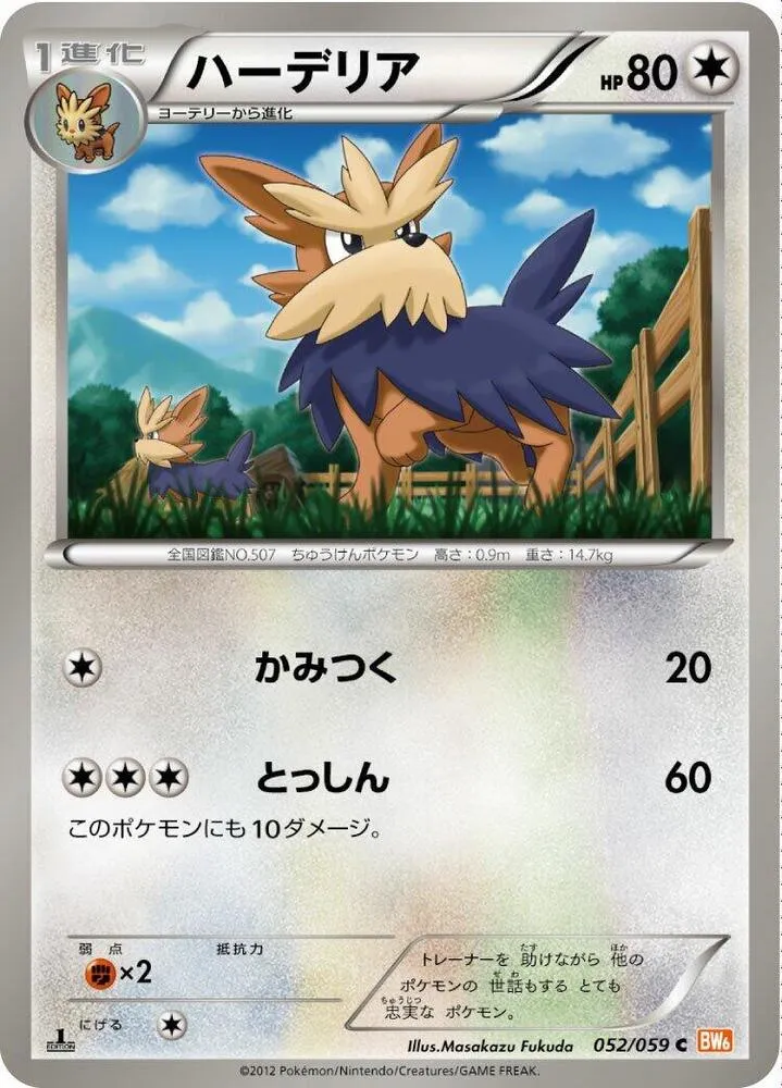 Herdier — BW6: Cold Flare — Pokemon Japan