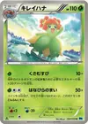 Product image for Bellossom