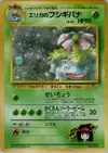 Product image for Erika's Venusaur