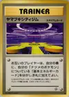 Product image for Saffron City Gym