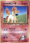 Product image for Blaines Ponyta LV13