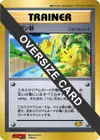 Product image for Pokemon Valley Jumbo