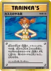 Product image for Mistys Determination