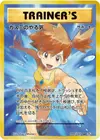 Product image for Mistys Determination