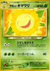Product image for Light Sunflora