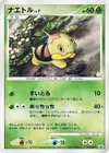 Product image for Turtwig