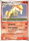 Product image for Rapidash