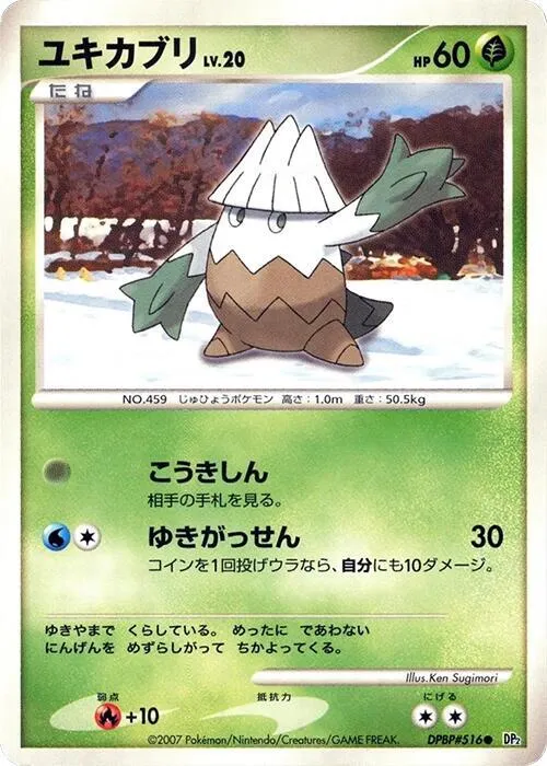 Blizzi Lv.20 — DP2: Secret of the Lakes — Pokemon Japan