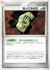 Product image for Root Fossil