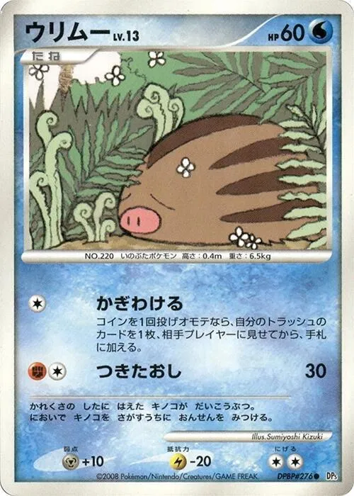 Swinub — DP5: Temple of Anger — Pokemon Japan