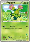 Product image for Maractus