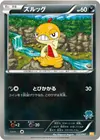 Product image for Scraggy