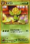 Product image for Sunflora